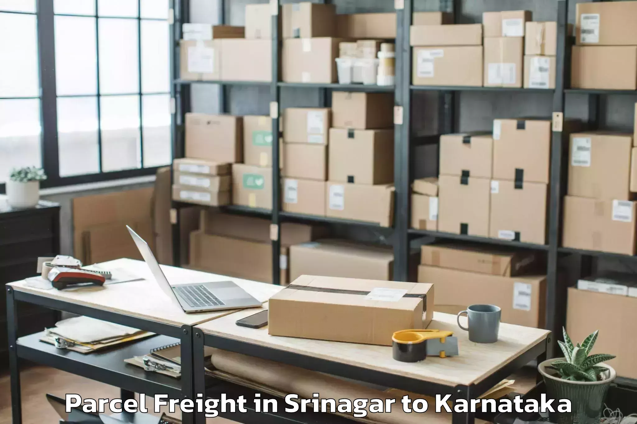 Book Your Srinagar to Royal Meenakshi Mall Parcel Freight Today